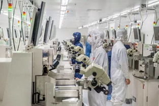 省委書記與省長親臨湖頭光電園指導工作，園區發展成就矚目